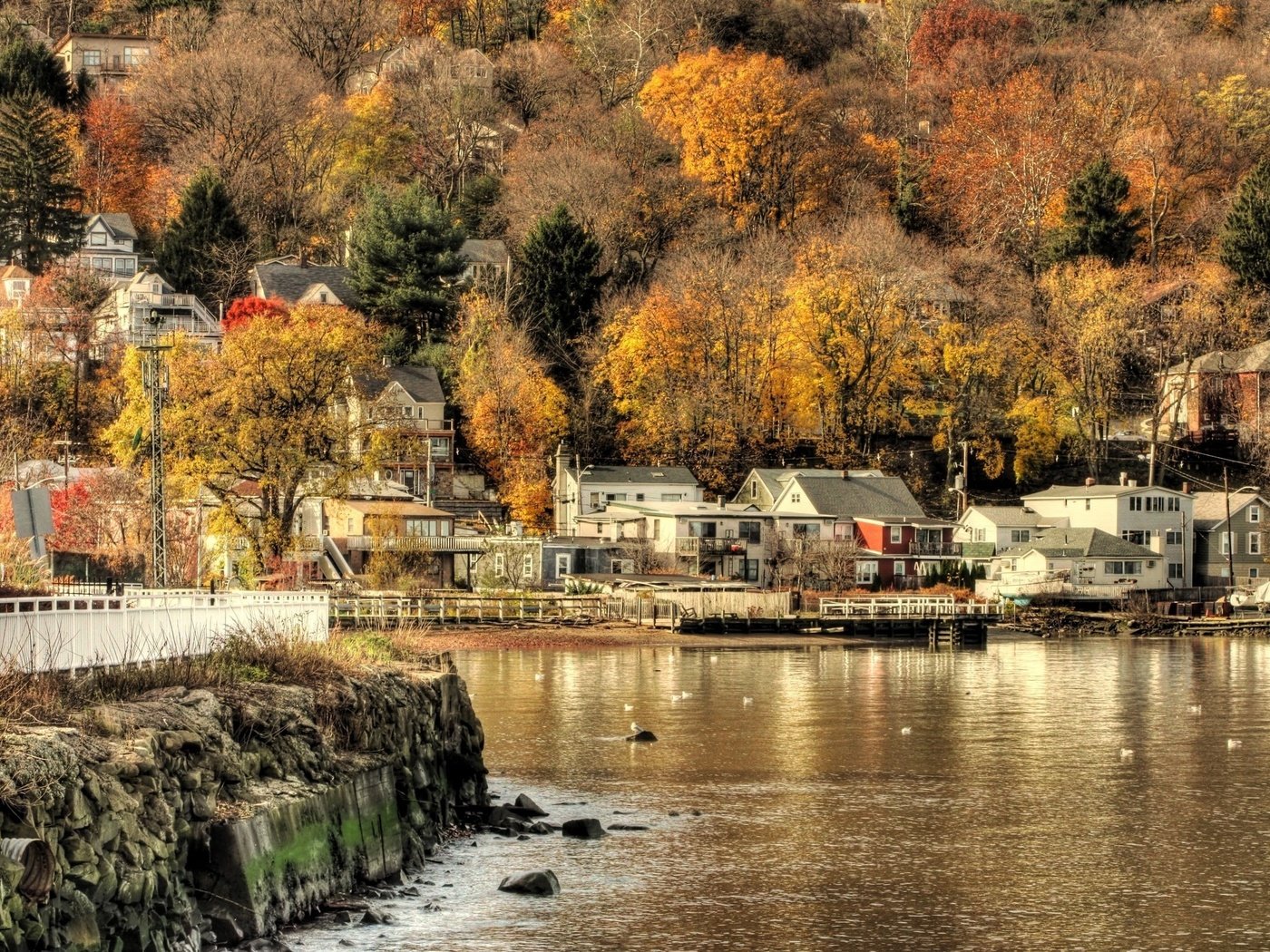 Обои вода, осень, поселок, water, autumn, the village разрешение 2560x1600 Загрузить