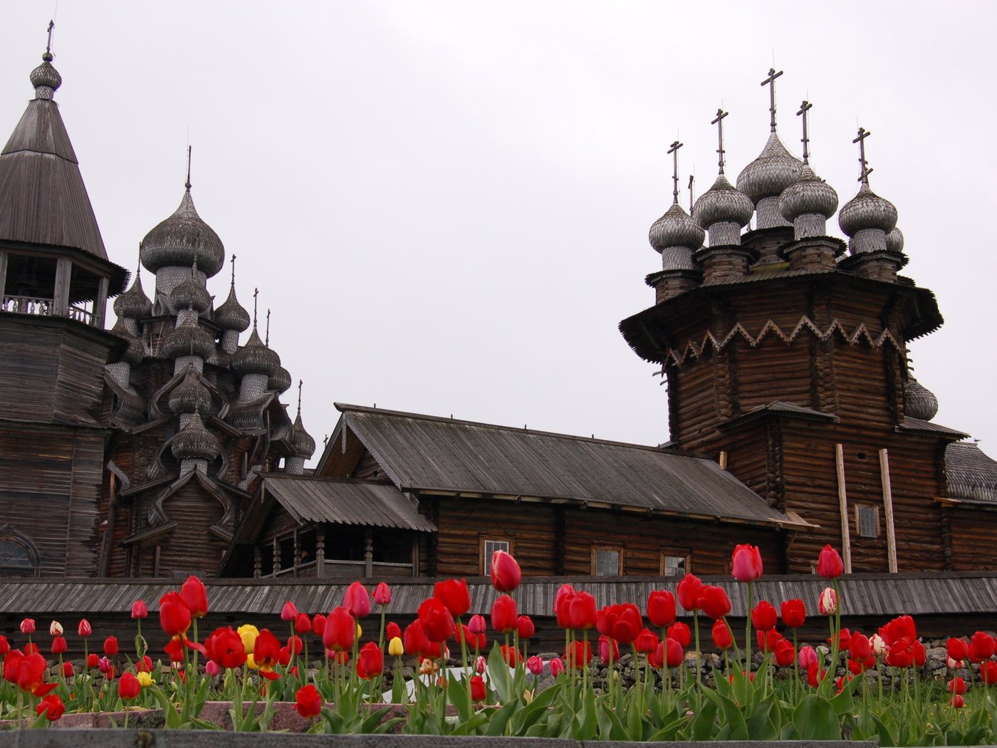 Обои цветы, крупный план, кижи, flowers, close-up, kizhi разрешение 3008x2000 Загрузить