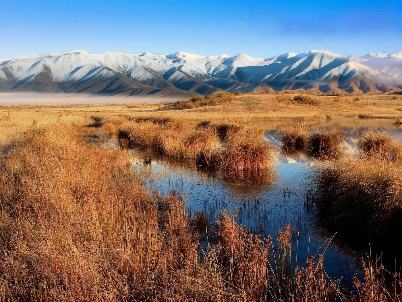 Обои трава, горы, болото, новая зеландия, grass, mountains, swamp, new zealand разрешение 2560x1600 Загрузить