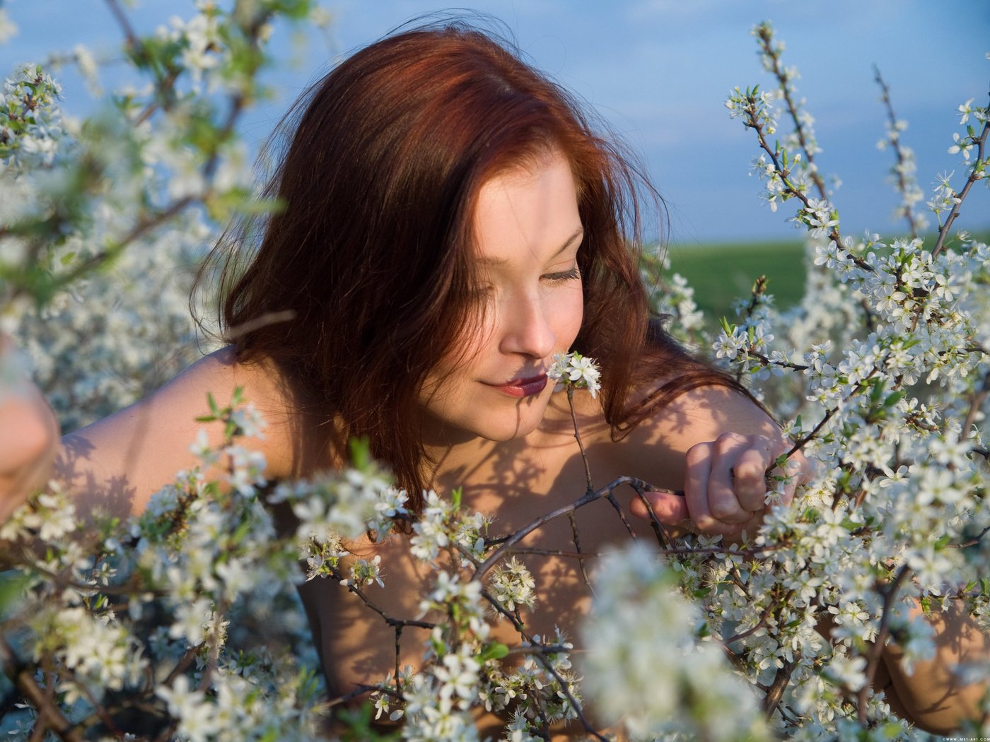 Обои цветы, девушка, ветки, волосы, flowers, girl, branches, hair разрешение 3889x2912 Загрузить