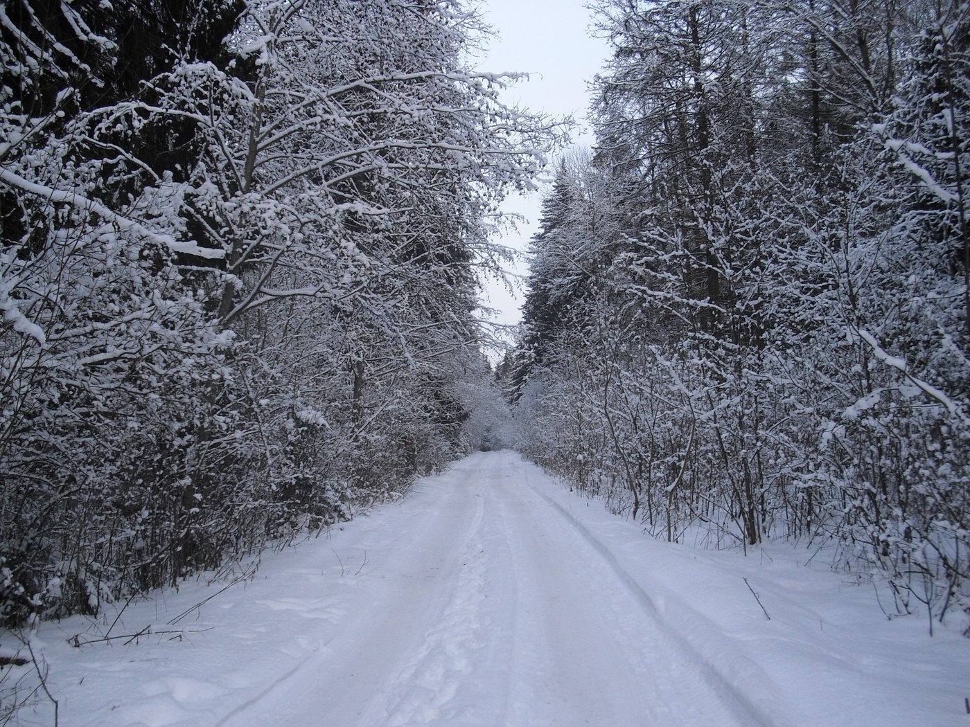 Обои дорога, лес, зима, road, forest, winter разрешение 3456x2592 Загрузить