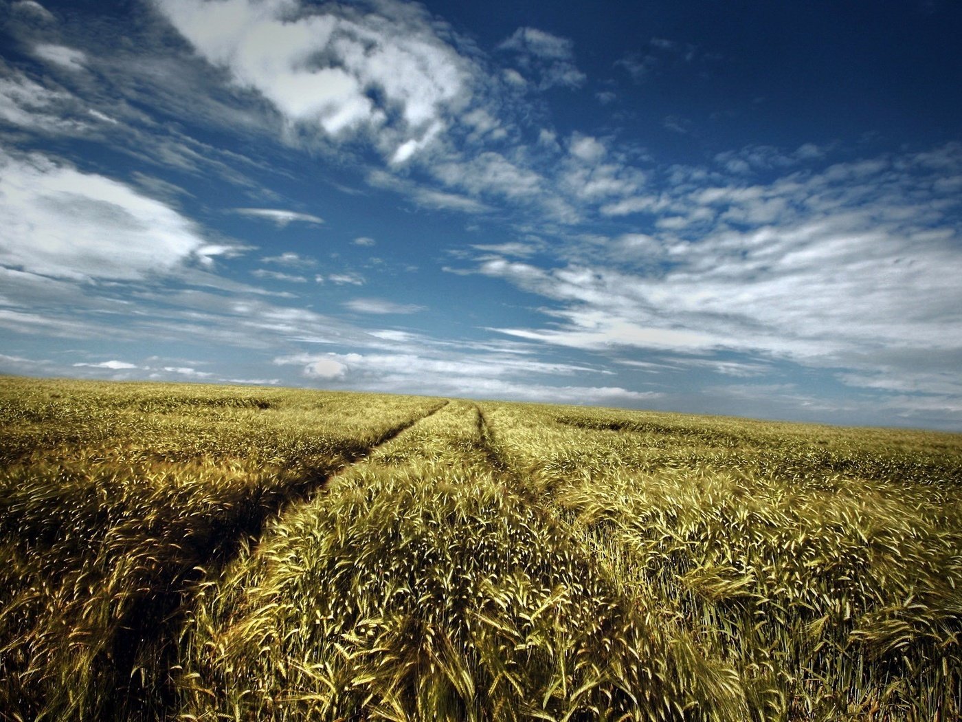 Обои небо, дорога, поле, лето, the sky, road, field, summer разрешение 1920x1200 Загрузить