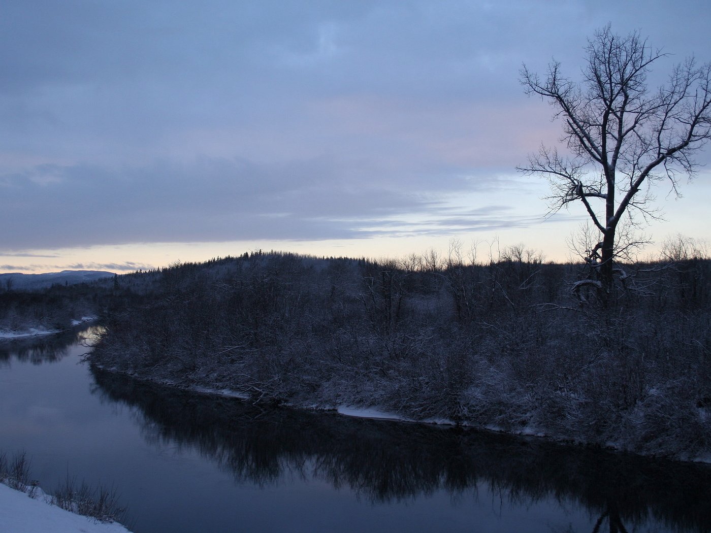 Обои деревья, река, снег, зима, trees, river, snow, winter разрешение 2560x1600 Загрузить