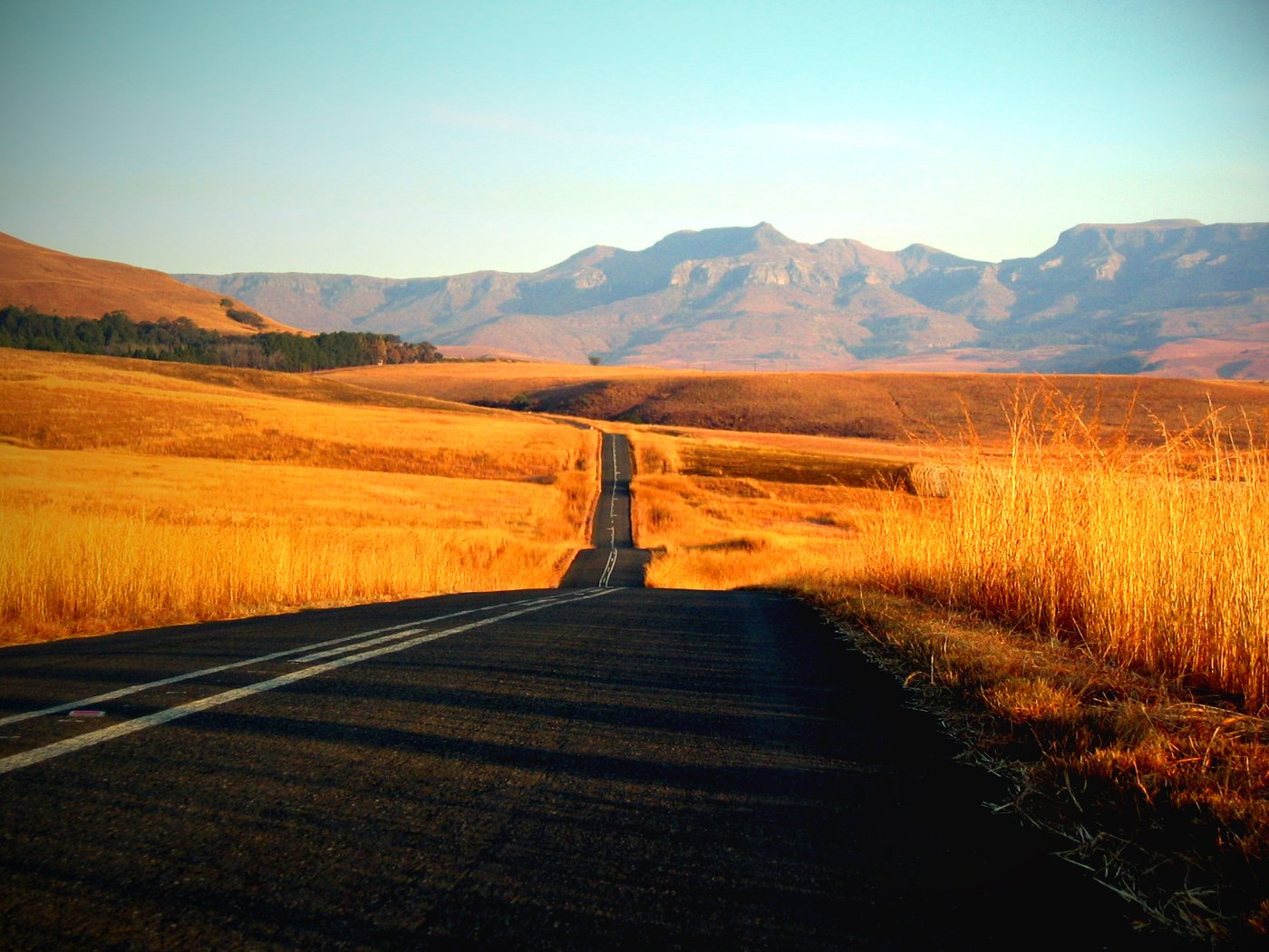 Обои дорога, трава, фото, пейзажи, красота, путь, дороги, road, grass, photo, landscapes, beauty, the way разрешение 1920x1200 Загрузить