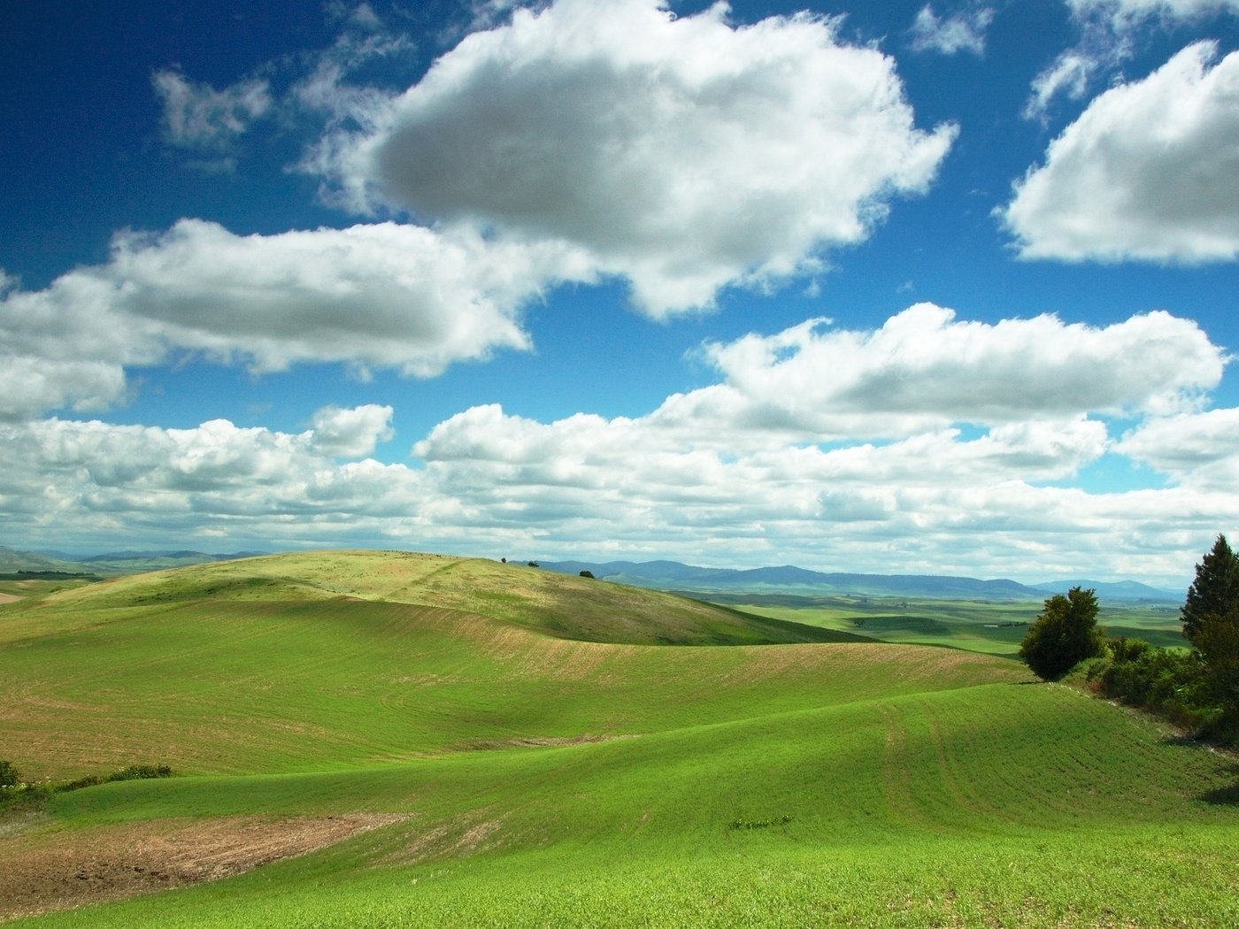 Обои небо, облака, холмы, поле, the sky, clouds, hills, field разрешение 1920x1200 Загрузить