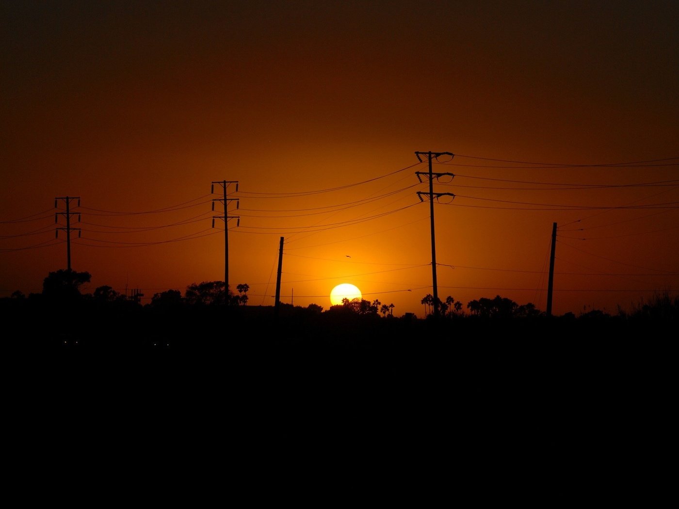 Обои солнце, провода, столбы, закат, the sun, wire, posts, sunset разрешение 1920x1440 Загрузить