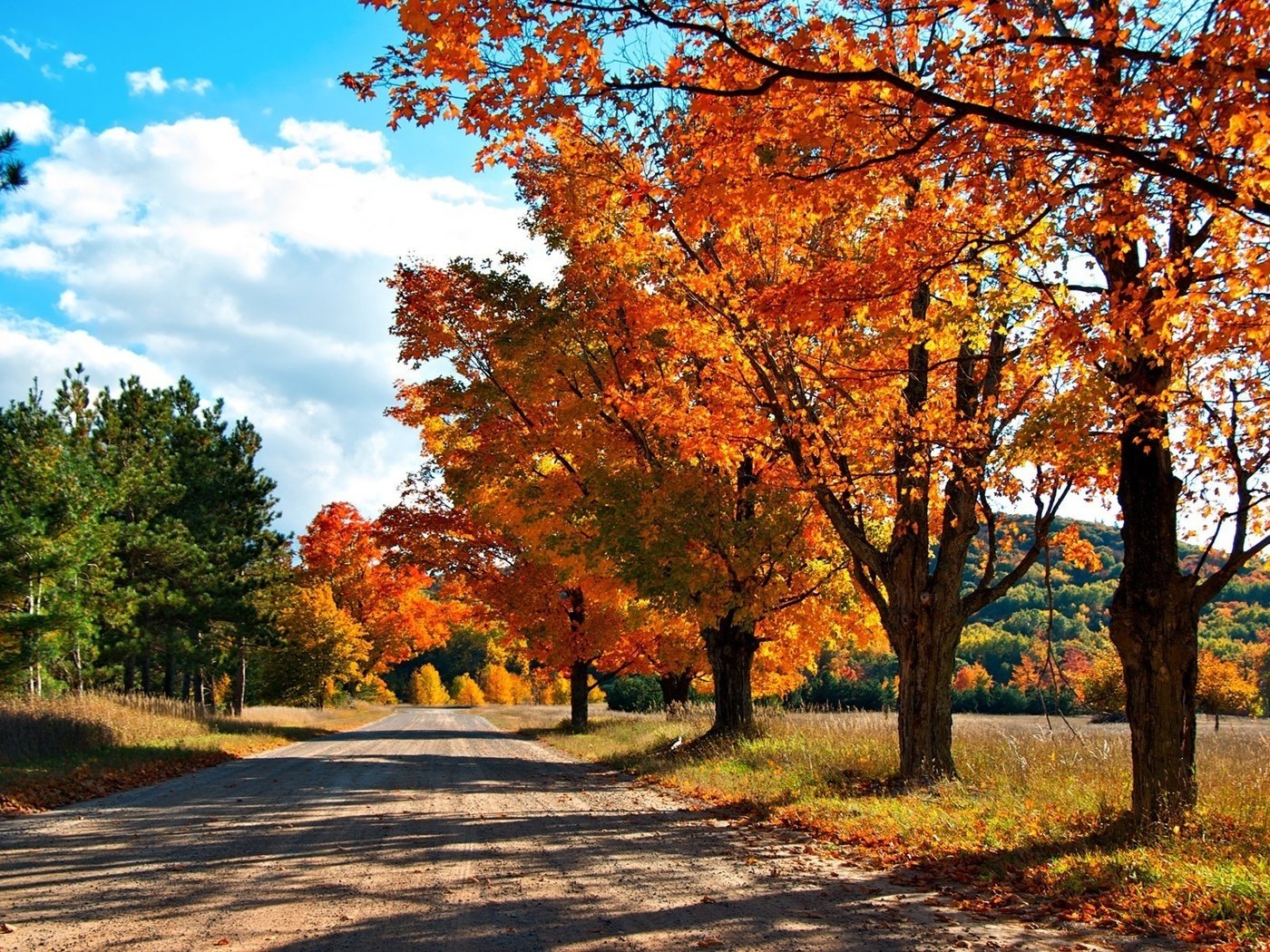 Обои дорога, деревья, лес, осень, краски осени, road, trees, forest, autumn, the colors of autumn разрешение 1920x1200 Загрузить