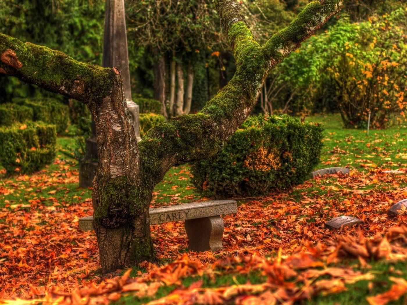 Обои листья, парк, осень, скамья, листопад, leaves, park, autumn, bench, falling leaves разрешение 1920x1080 Загрузить