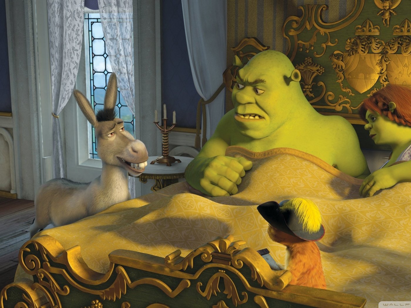 Обои кот, осел, шрек, фиона, cat, donkey, shrek, fiona разрешение 1920x1080 Загрузить