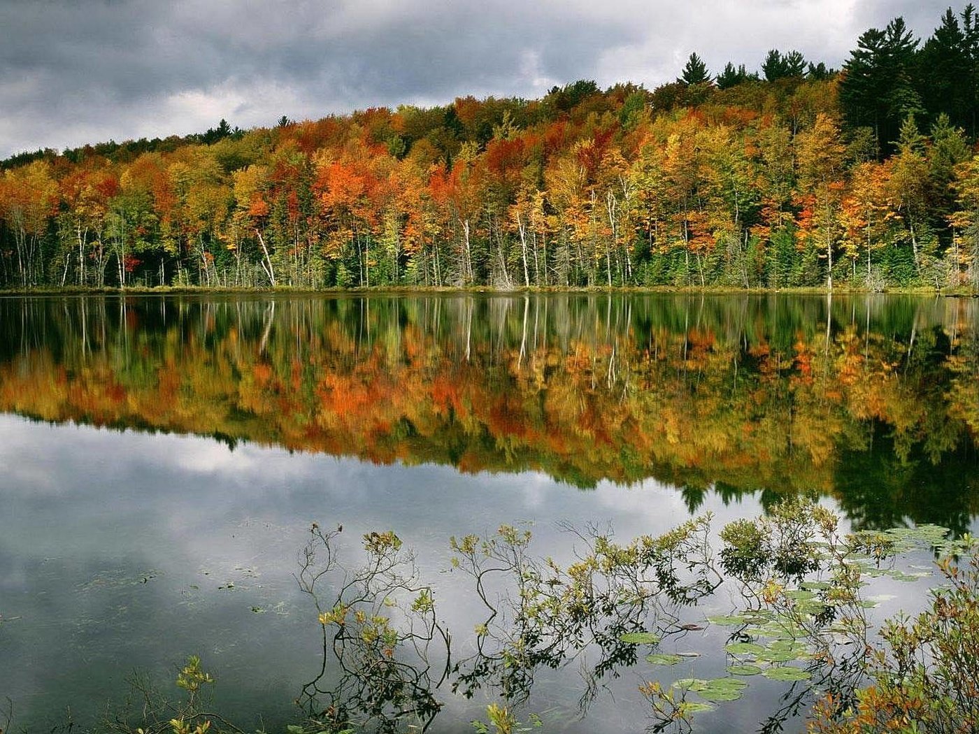 Обои деревья, вода, озеро, лес, отражение, осень, trees, water, lake, forest, reflection, autumn разрешение 1920x1080 Загрузить