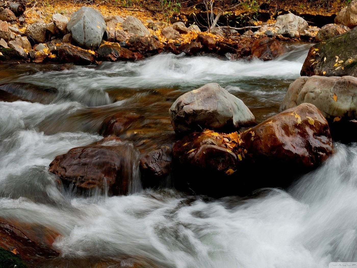 Обои река, природа, камни, листья, осень, river, nature, stones, leaves, autumn разрешение 1920x1080 Загрузить