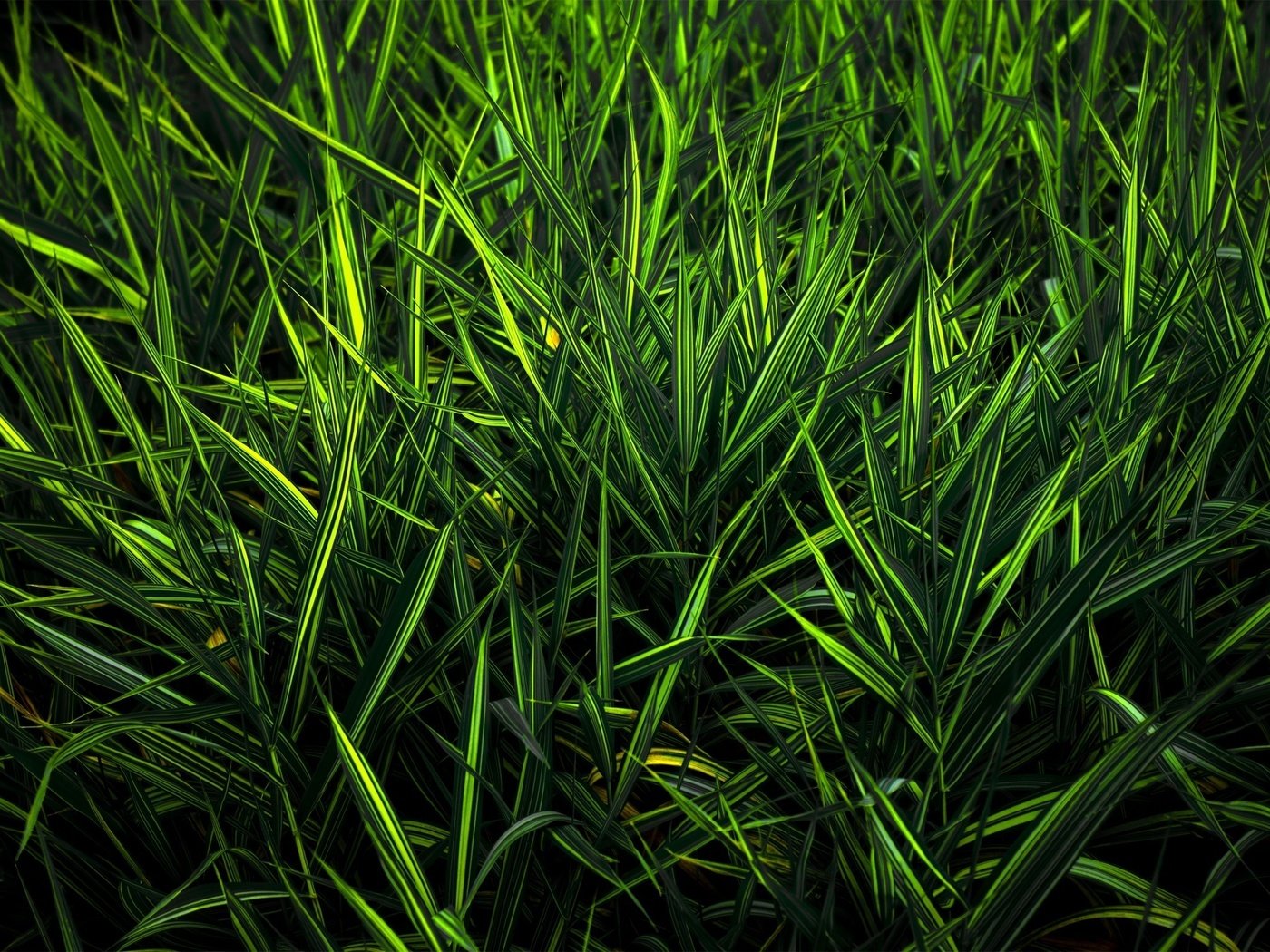 Обои трава, зелень, цвет, grass, greens, color разрешение 2560x1600 Загрузить