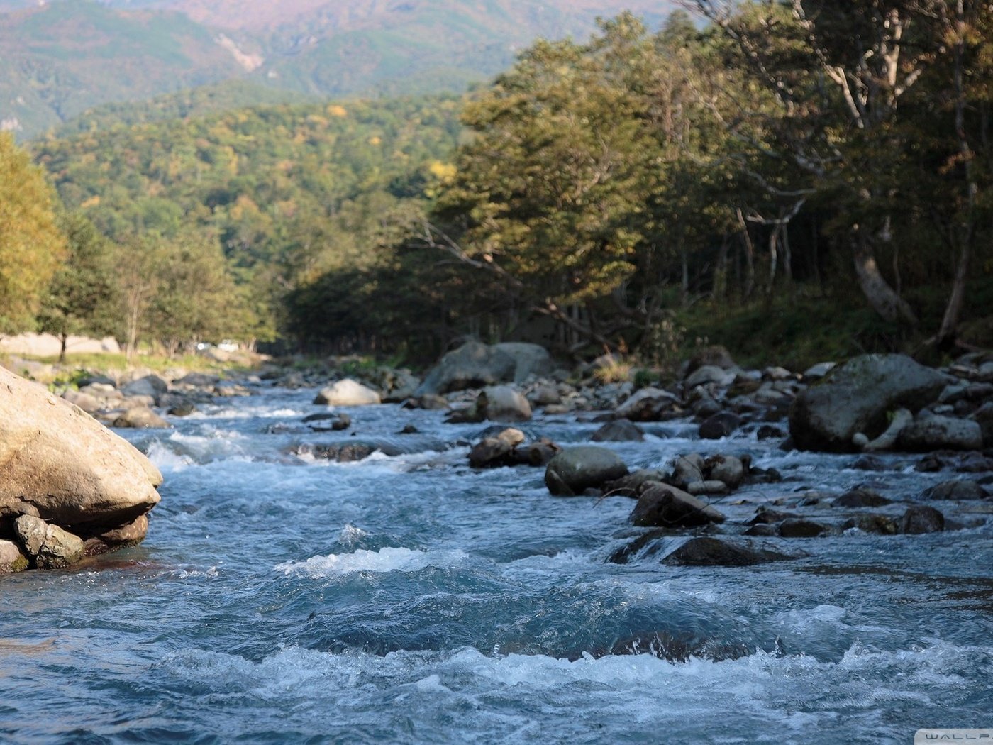 Обои вода, камни, брызги, поток, горная река, water, stones, squirt, stream, mountain river разрешение 1920x1080 Загрузить