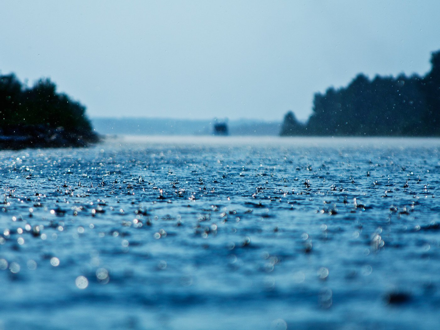 Обои вода, капли, дождь, поверхность, осадки, water, drops, rain, surface разрешение 1920x1200 Загрузить