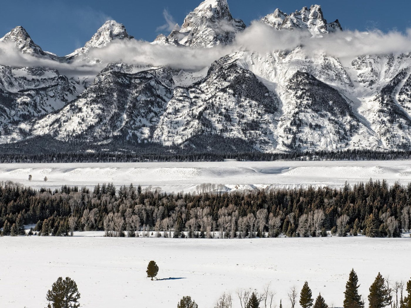 Обои деревья, горы, снег, лес, зима, сша, вайоминг, гранд-титон, trees, mountains, snow, forest, winter, usa, wyoming, grand teton разрешение 1920x1080 Загрузить