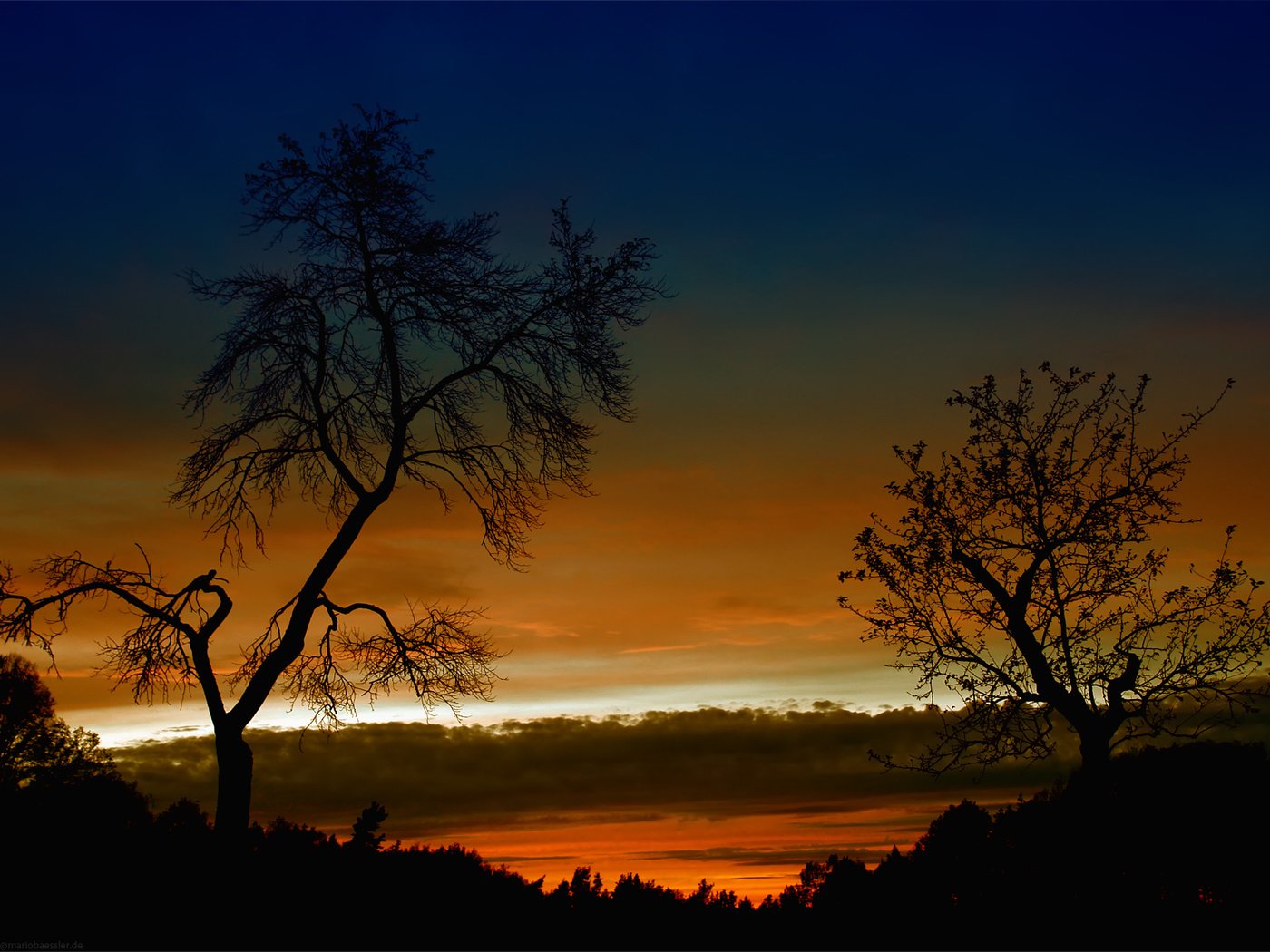 Обои небо, деревья, вечер, природа, закат, пейзаж, the sky, trees, the evening, nature, sunset, landscape разрешение 1920x1200 Загрузить