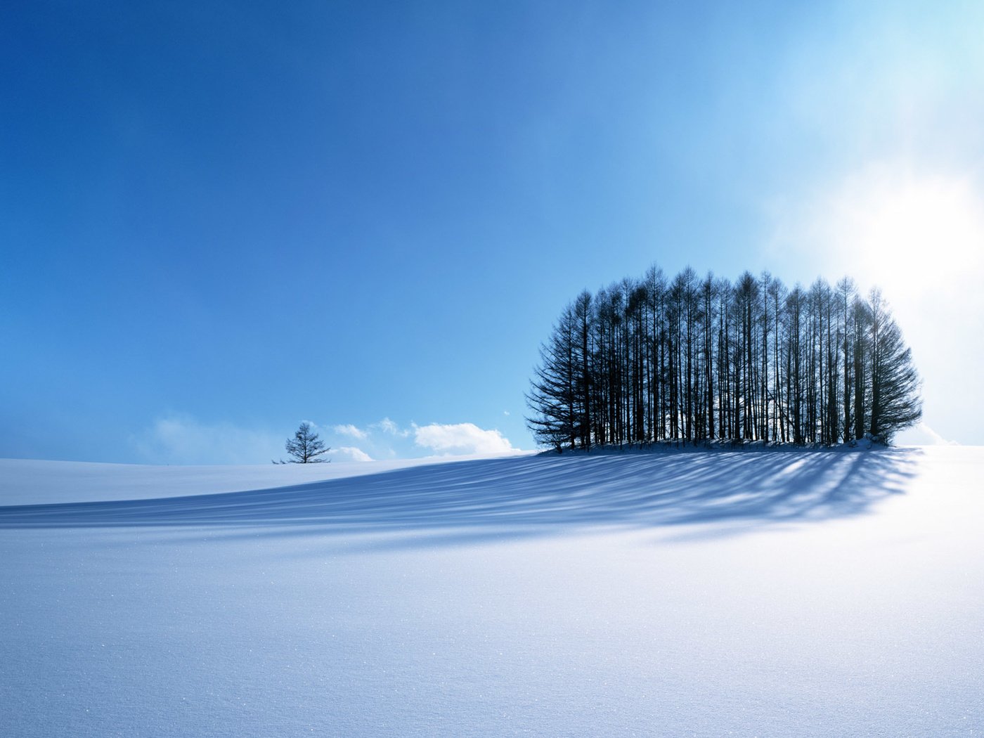 Обои небо, дорога, деревья, горы, солнце, снег, зима, the sky, road, trees, mountains, the sun, snow, winter разрешение 1920x1200 Загрузить