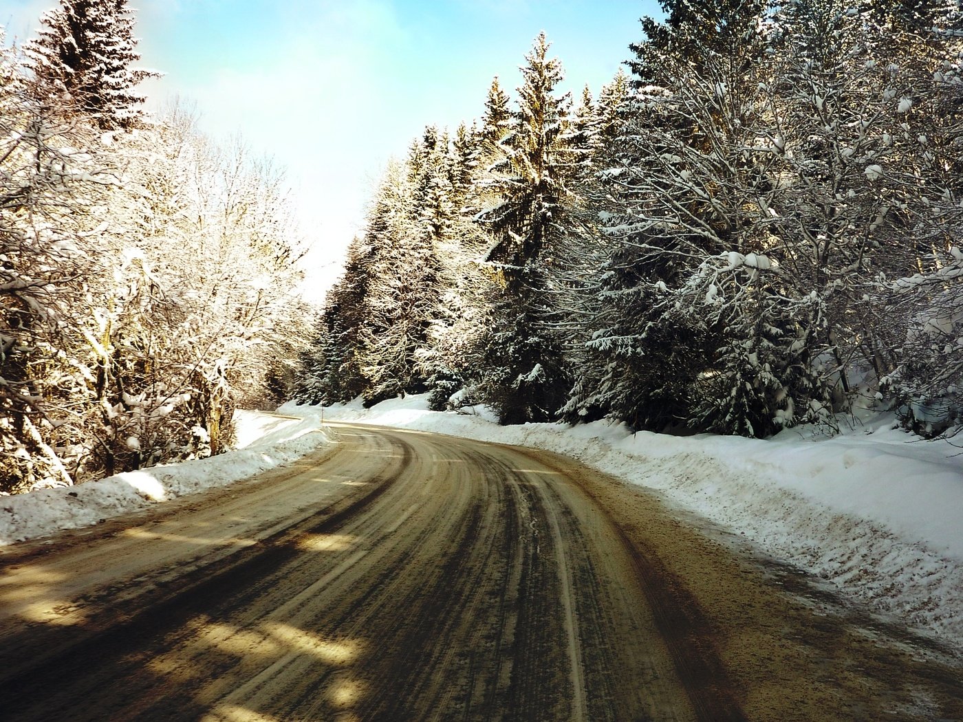 Обои дорога, деревья, снег, зима, елки, road, trees, snow, winter, tree разрешение 2560x1600 Загрузить