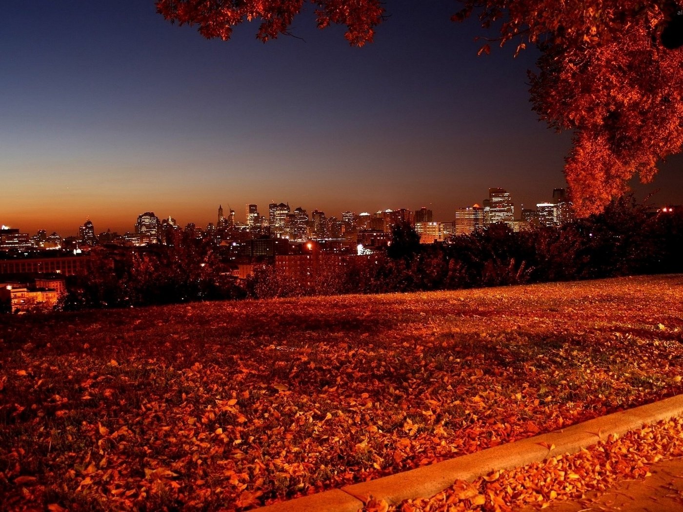 Autumnight Autumn Night