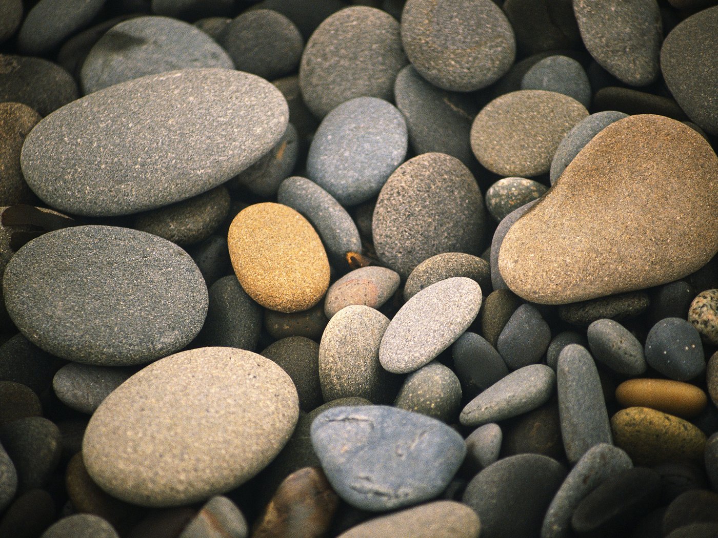 Обои природа, камни, галька, макро, камешки, nature, stones, pebbles, macro разрешение 2560x1600 Загрузить