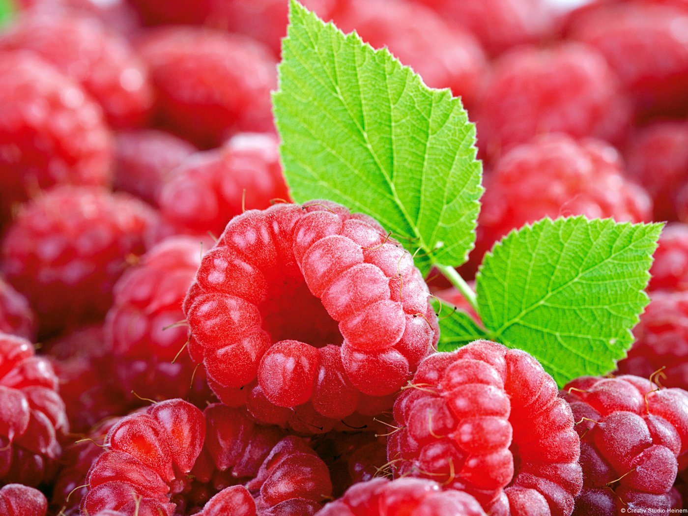 Обои малина, ягоды, листочек, малина и листок, raspberry, berries, leaf, and raspberry leaf разрешение 1920x1200 Загрузить