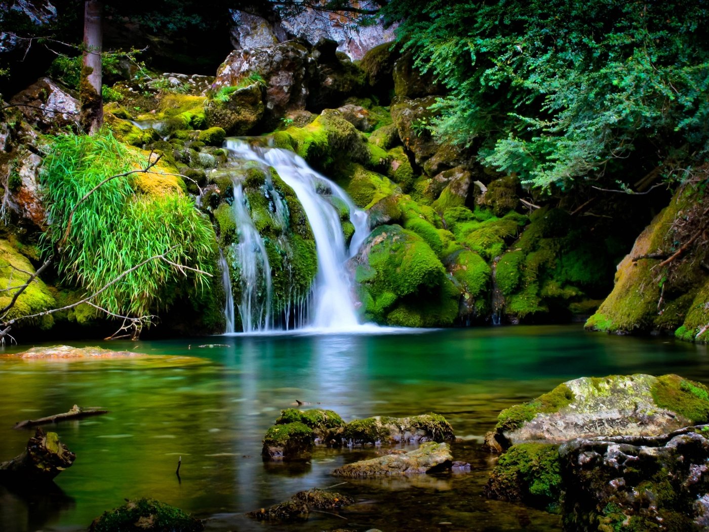 Обои деревья, вода, камни, листья, водопад, мох, trees, water, stones, leaves, waterfall, moss разрешение 2048x1280 Загрузить