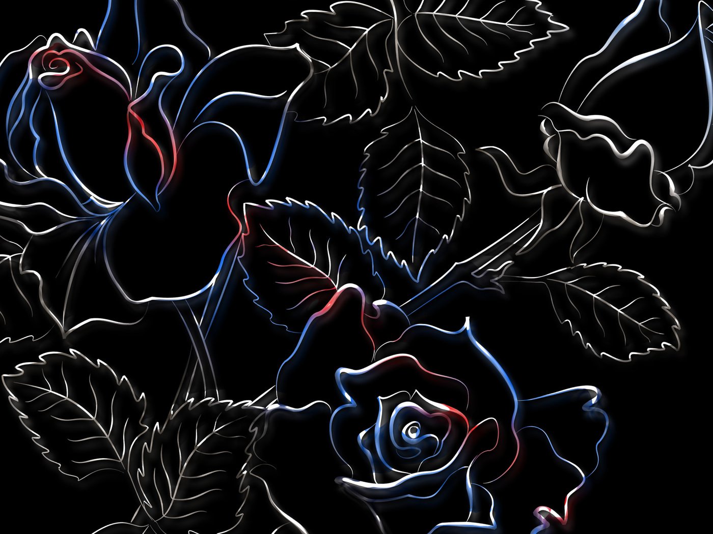 Обои рисунок, розы, черный фон, figure, roses, black background разрешение 2560x1600 Загрузить