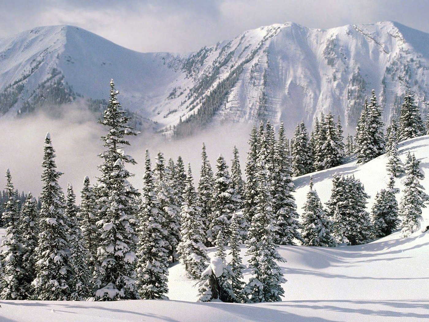 Обои горы, снег, природа, зима, ели, альпы, mountains, snow, nature, winter, ate, alps разрешение 1920x1080 Загрузить