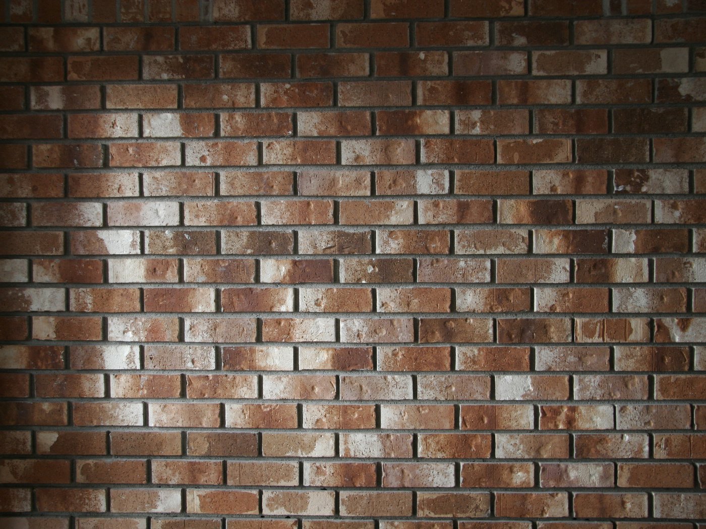 Обои текстура, фон, стена, кирпичи, texture, background, wall, bricks разрешение 1920x1280 Загрузить