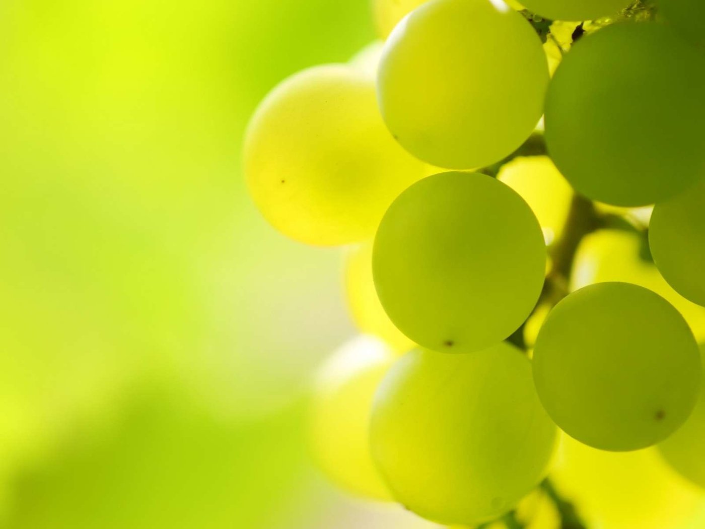 Обои свет, макро, виноград, гроздь, виноградная гроздь, light, macro, grapes, bunch, a bunch of grapes разрешение 1920x1200 Загрузить