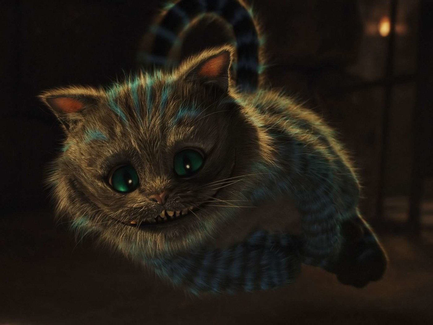 Чишминский кот Алиса в стоане чудес