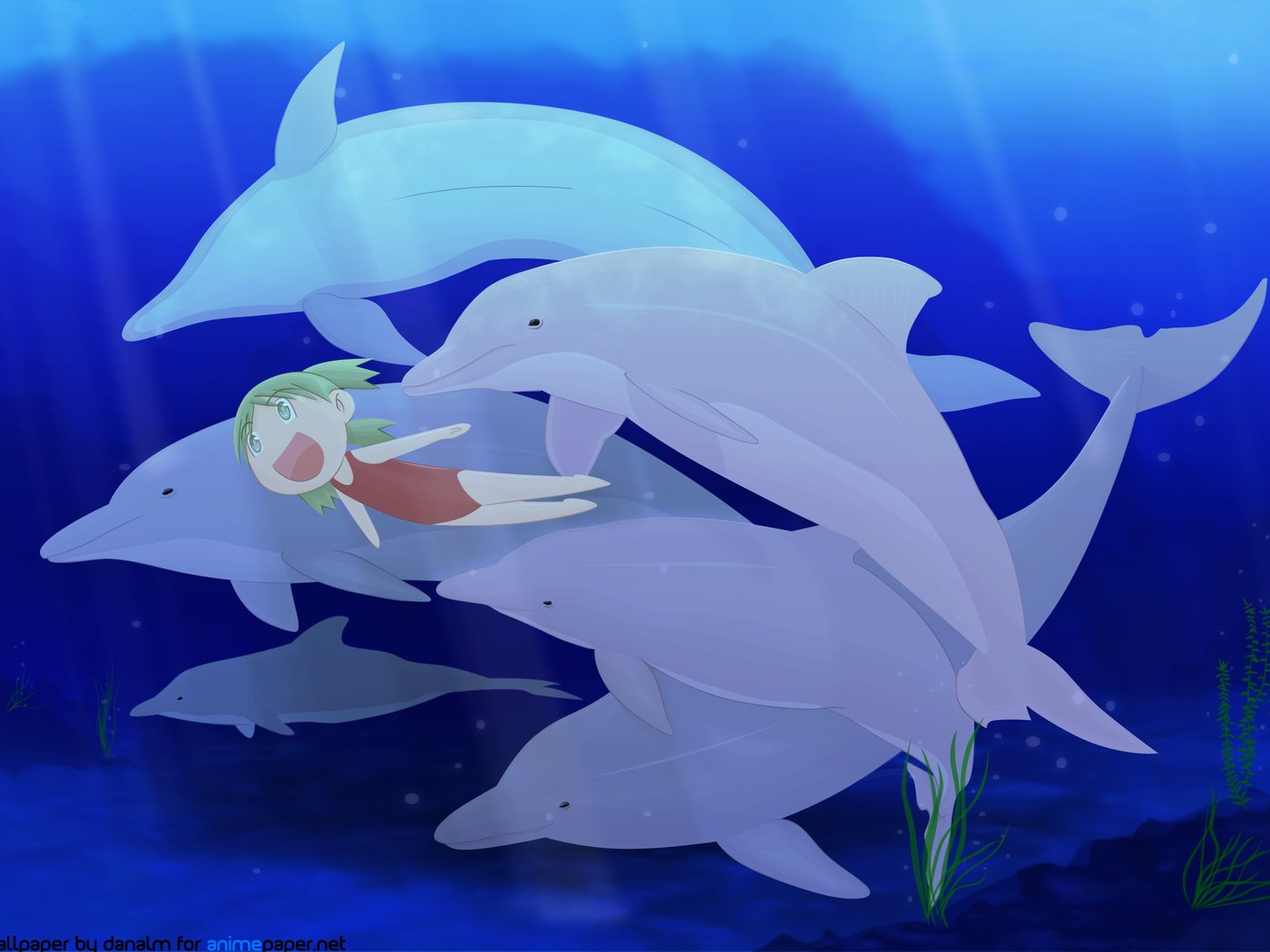 Обои животное, дельфин, koiwai yotsuba, yotsubato, подводная, animal, dolphin, yotsuba koiwai, underwater разрешение 2560x1600 Загрузить