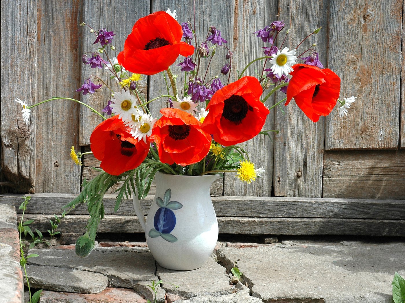 Обои цветы, забор, маки, ромашки, одуванчики, ваза, водосбор, flowers, the fence, maki, chamomile, dandelions, vase, the catchment разрешение 1920x1200 Загрузить