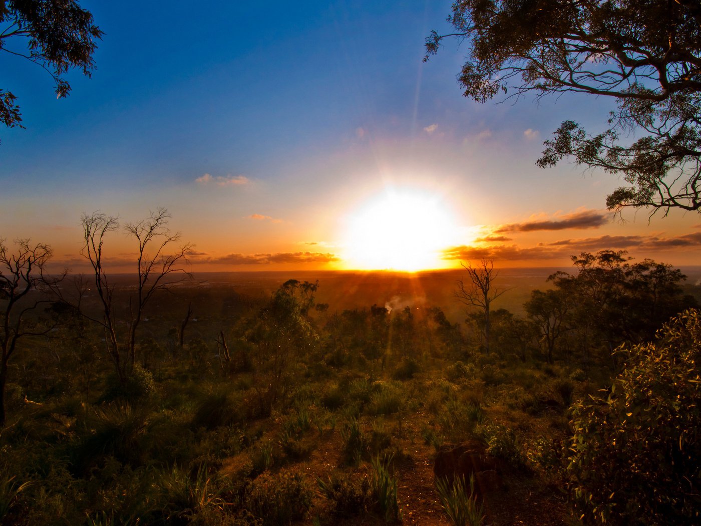 Обои деревья, солнце, закат, горизонт, лето, австралия, trees, the sun, sunset, horizon, summer, australia разрешение 2560x1600 Загрузить