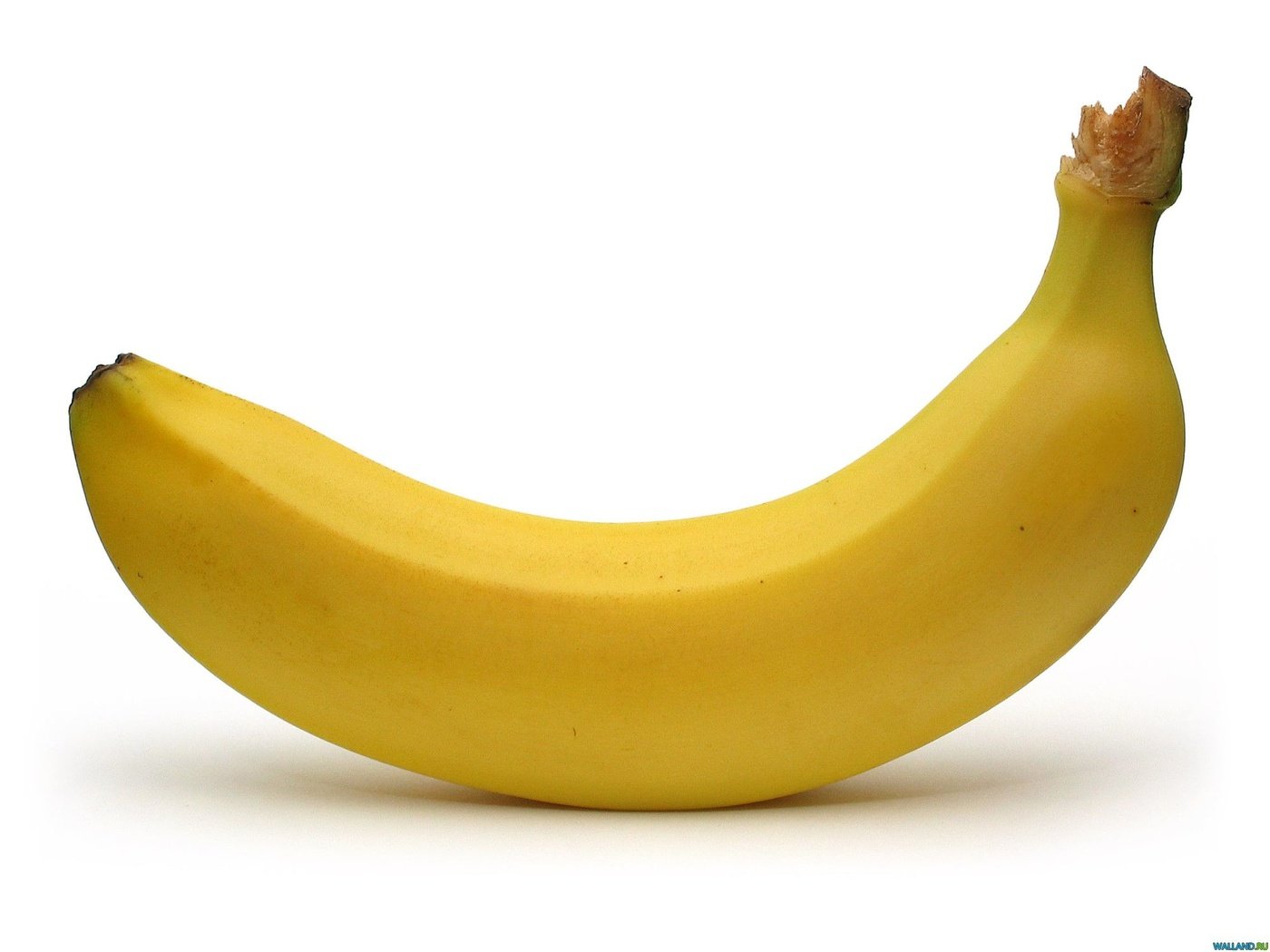 Обои желтый, фрукты, белый фон, банан, бананы, yellow, fruit, white background, banana, bananas разрешение 2000x1500 Загрузить