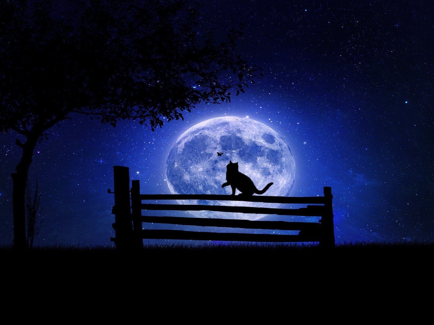 Обои ночь, дерево, звезды, кот, луна, бабочка, забор, night, tree, stars, cat, the moon, butterfly, the fence разрешение 1920x1200 Загрузить