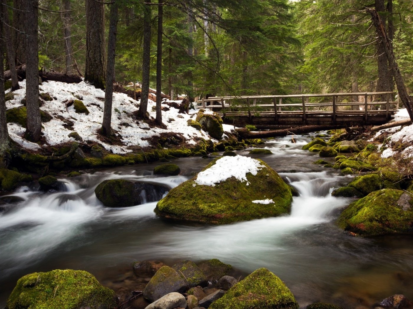 Обои деревья, сша, река, орегон, снег, природа, камни, лес, зима, мост, trees, usa, river, oregon, snow, nature, stones, forest, winter, bridge разрешение 2560x1600 Загрузить