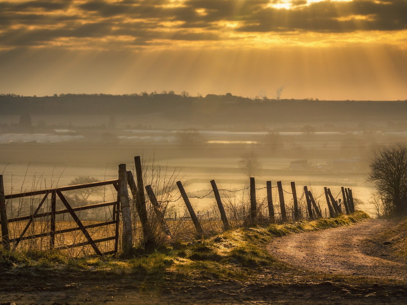 Обои дорога, природа, закат, забор, road, nature, sunset, the fence разрешение 1920x1200 Загрузить