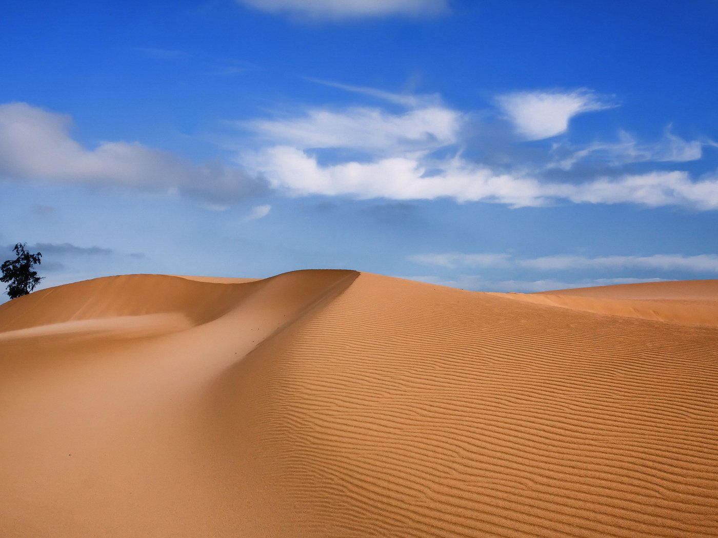 Обои песок, пустыня, sand, desert разрешение 1920x1200 Загрузить