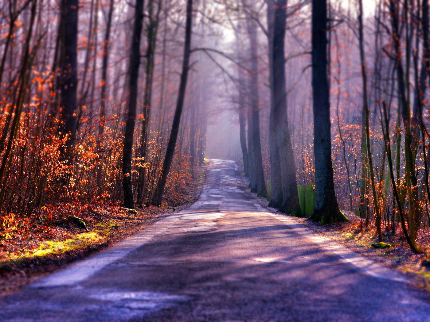 Обои свет, дорога, деревья, туман, осень, light, road, trees, fog, autumn разрешение 2048x1356 Загрузить