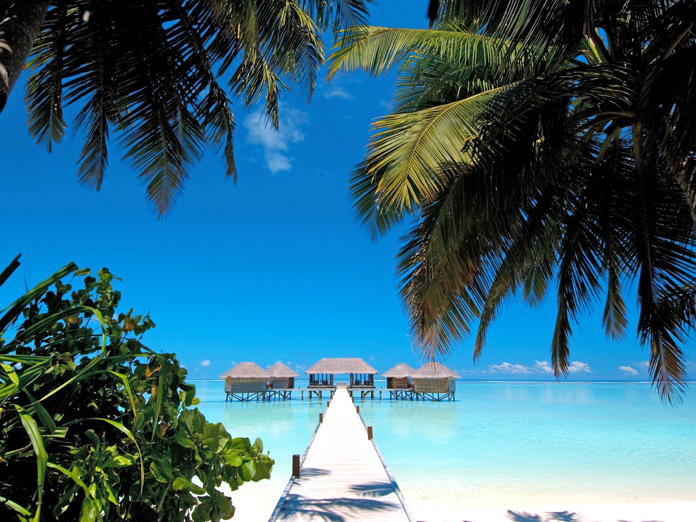 Обои море, пляж, бунгало, тропики, мальдивы, sea, beach, bungalow, tropics, the maldives разрешение 4275x2816 Загрузить