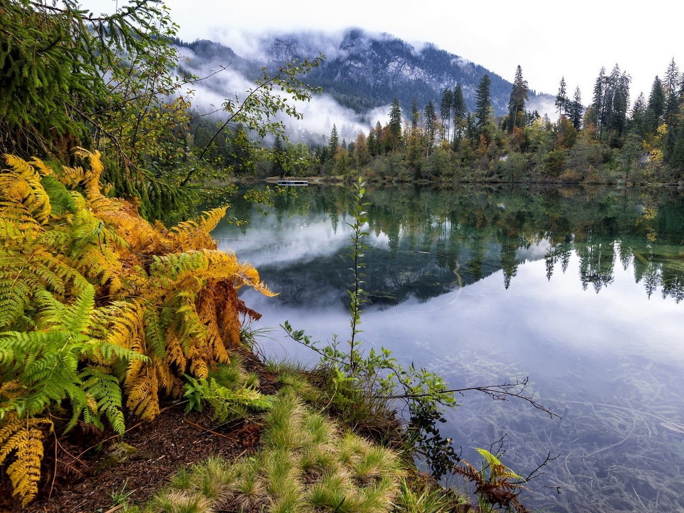 Обои река, горы, природа, лес, отражение, осень, папоротник, river, mountains, nature, forest, reflection, autumn, fern разрешение 2560x1600 Загрузить