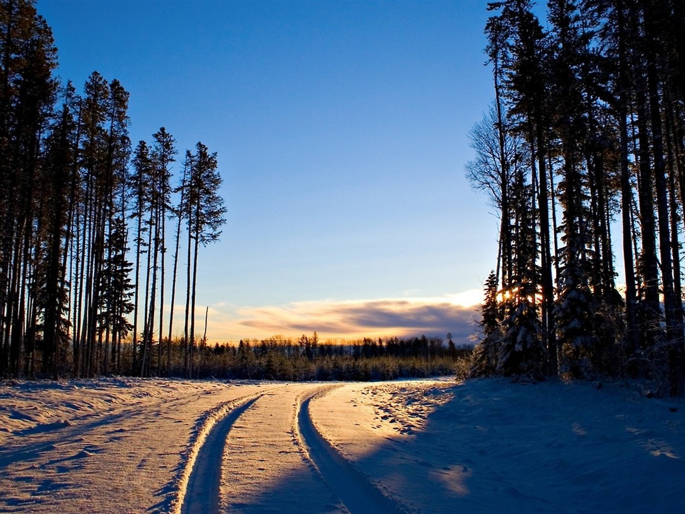 Обои дорога в зимнем лесу на закате, road in winter forest at sunset разрешение 2560x1440 Загрузить