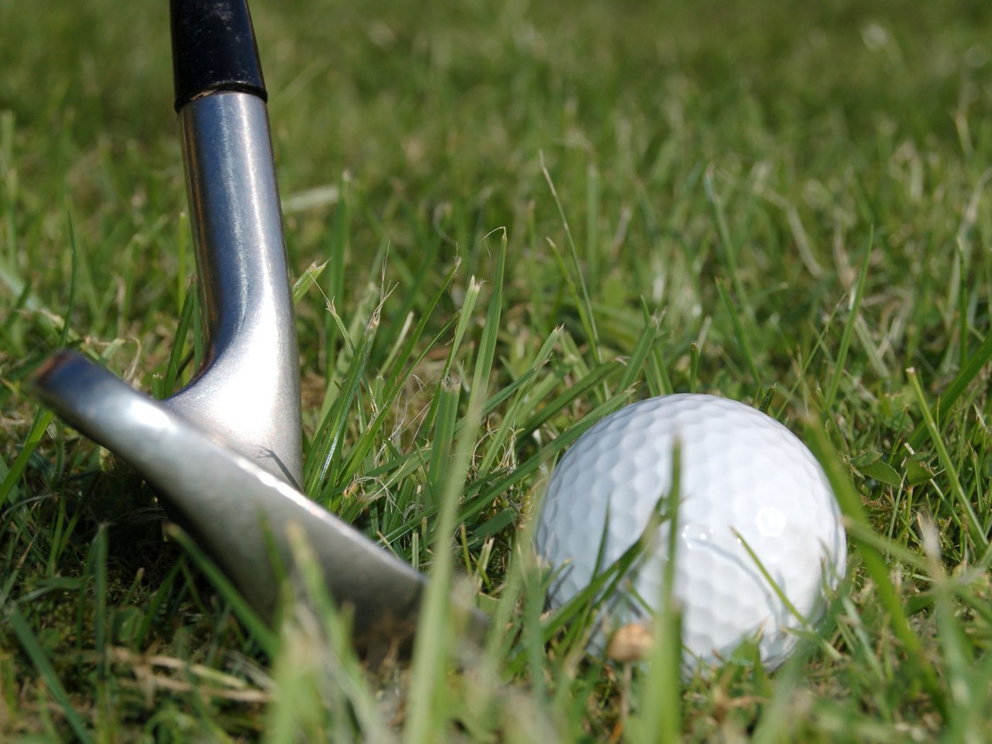 Обои трава, макро, клюшка, мяч, гольф, grass, macro, stick, the ball, golf разрешение 1920x1080 Загрузить