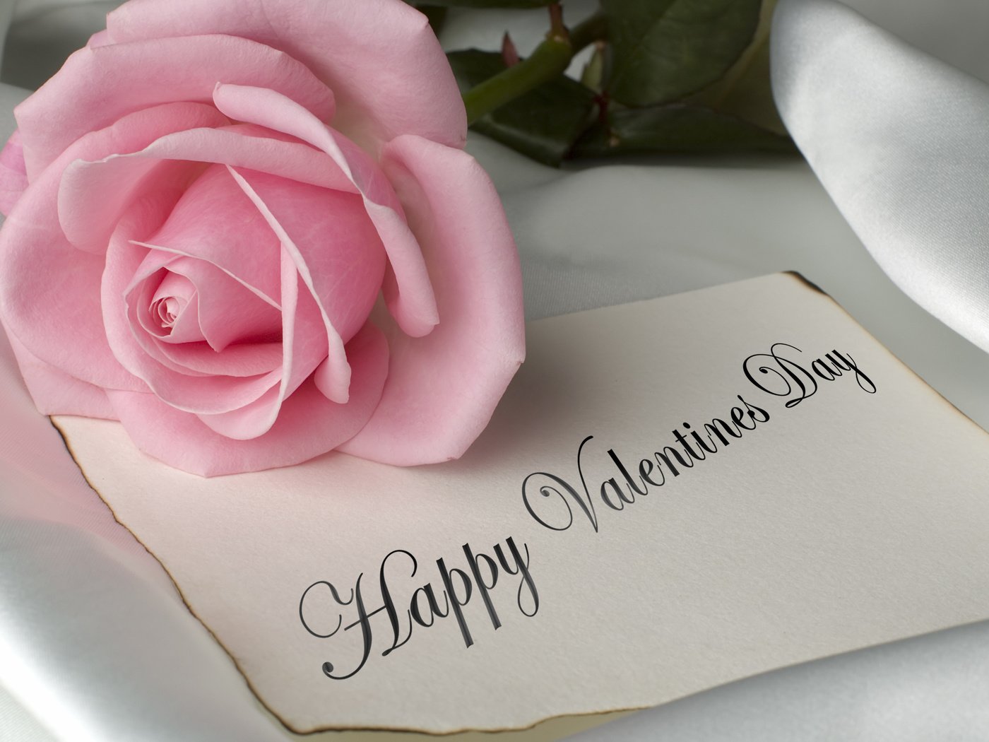 Обои роза, романтик, мелодрама,  цветы, happy valentines day, хорошенькая, пинк, rose, romantic, romance, flowers, pretty, pink разрешение 2560x1600 Загрузить