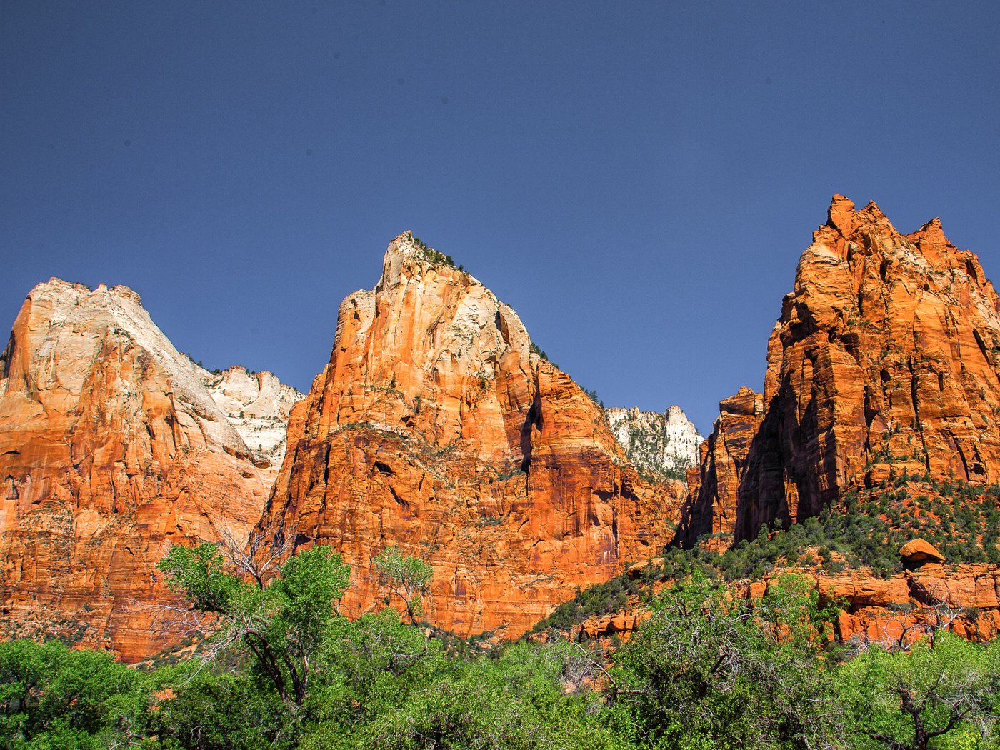 Обои горы, сша, юта, zion national park, национальный парк, штат юта, mountains, usa, utah, national park разрешение 1920x1200 Загрузить