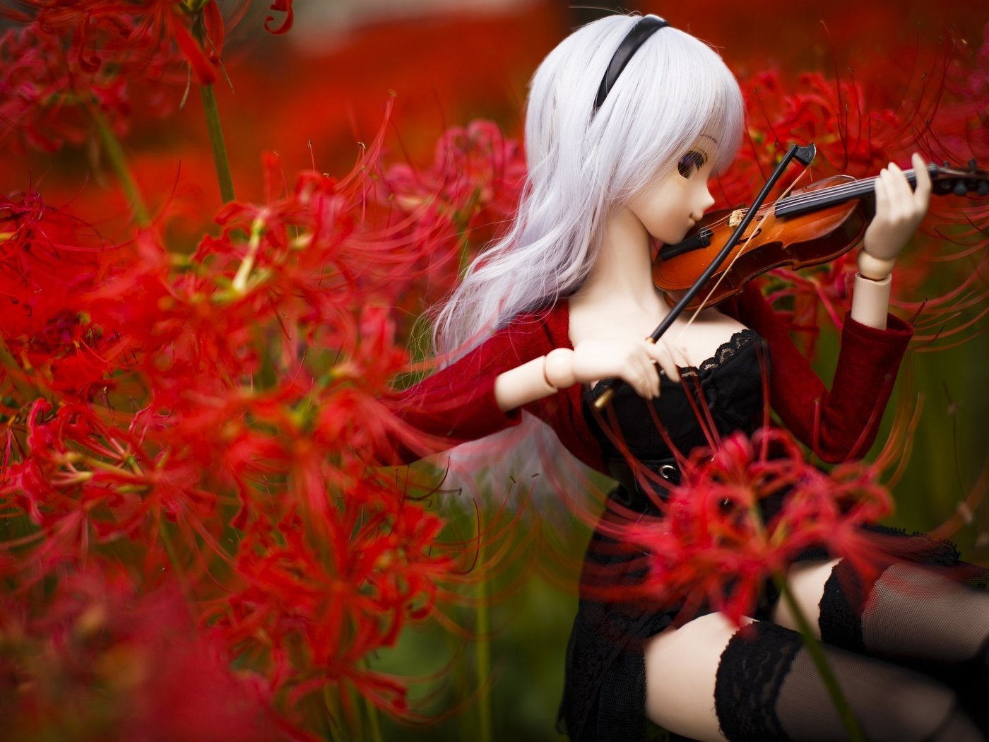 Обои цветы, скрипка, кукла, flowers, violin, doll разрешение 3200x2133 Загрузить