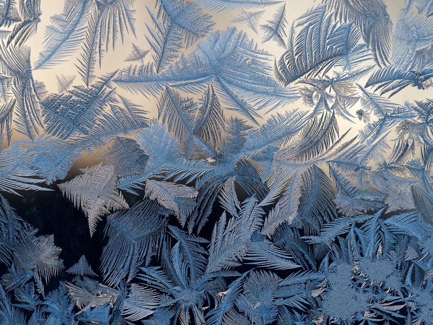 Обои мороз, узоры, стекло, frost, patterns, glass разрешение 2048x1365 Загрузить