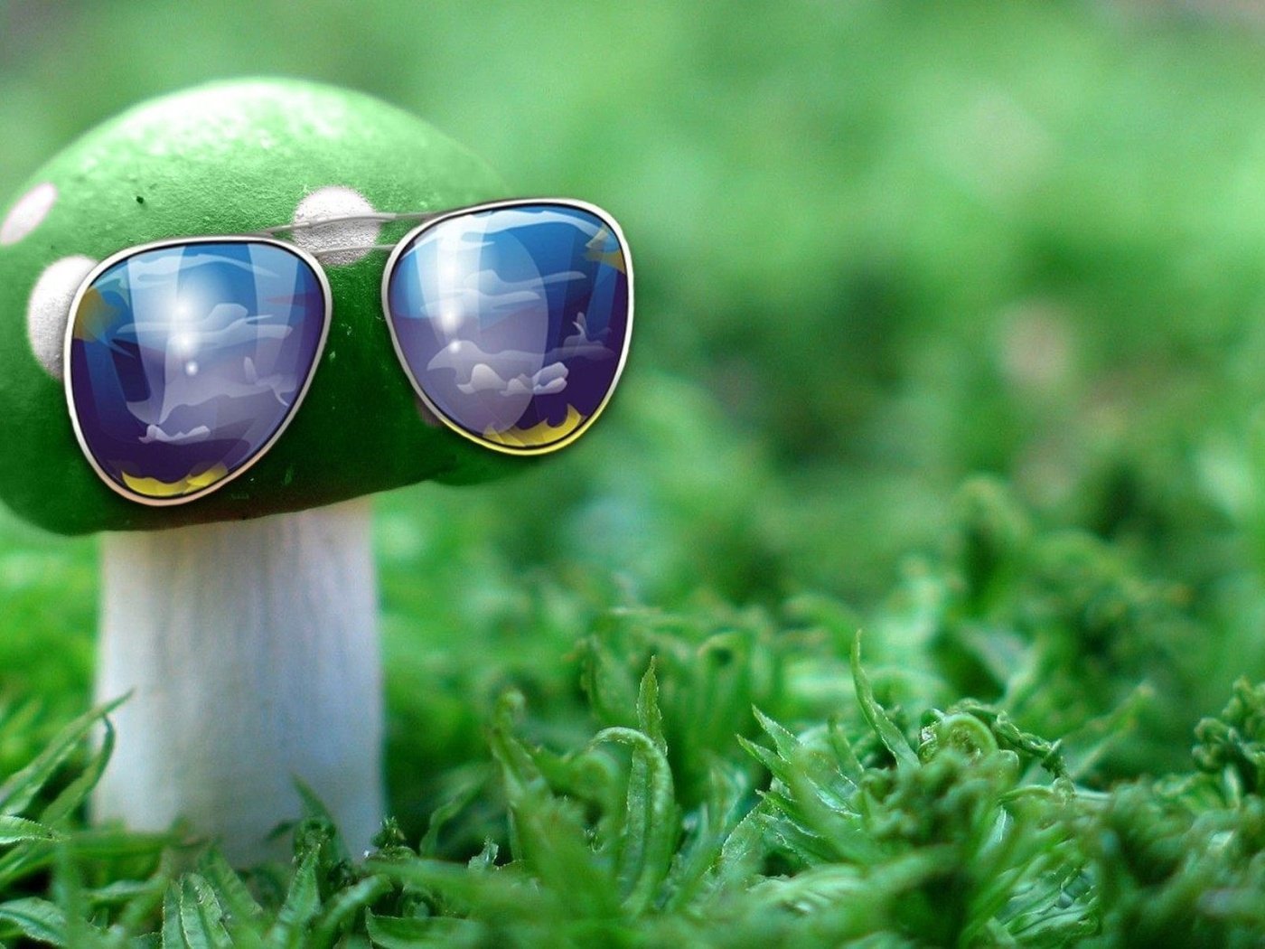 Обои природа, зелёный, макро, очки, гриб, nature, green, macro, glasses, mushroom разрешение 1932x1208 Загрузить