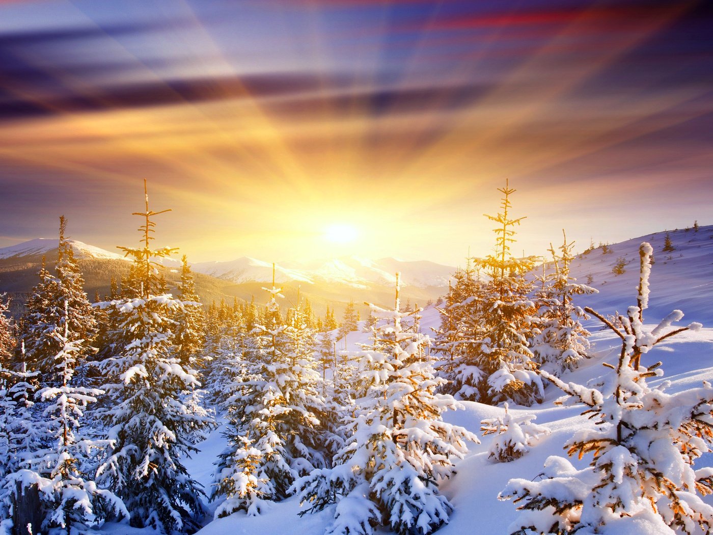 Обои восход, солнце, снег, лес, зима, sunrise, the sun, snow, forest, winter разрешение 2560x1600 Загрузить